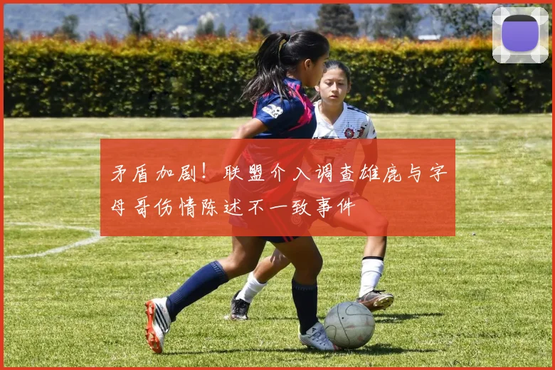矛盾加剧！联盟介入调查雄鹿与字母哥伤情陈述不一致事件