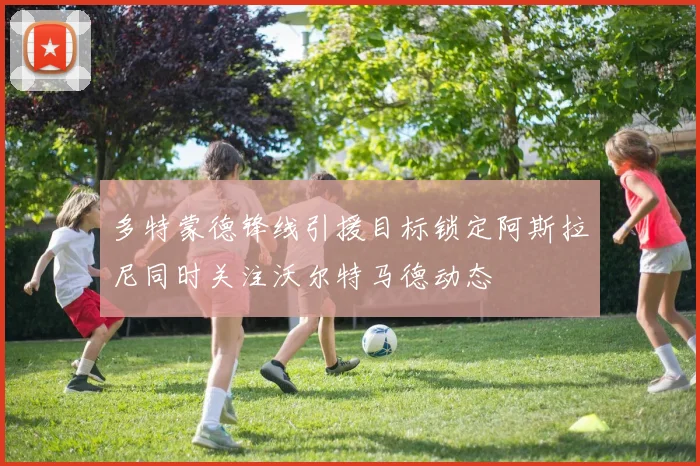 多特蒙德锋线引援目标锁定阿斯拉尼同时关注沃尔特马德动态